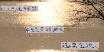 要夺冠！还要选对优质供货商才行 切尔西选布莱顿 海港选择莫雷拉